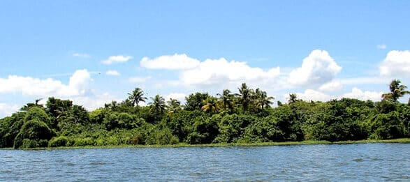 Pathiramanal Island Backwater popular tourist destination in Alappuzha Kerala Pathiramanal Island Backwater popular tourist destination in Alappuzha Kerala