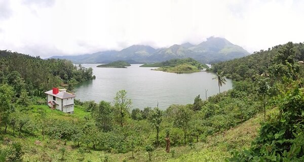 Wayanad Tourism | Natural Beauty, Cultural Heritage, and Diverse Wildlife