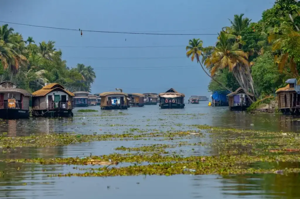 Alappuzha Backwaters and Canals