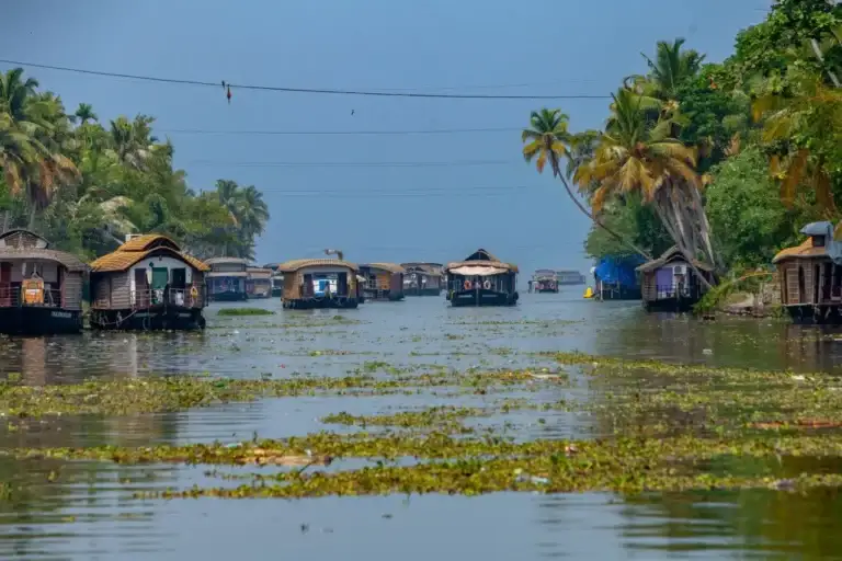Alappuzha Backwaters and Canals